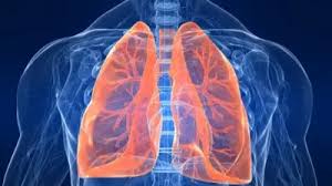 According to an AIIMS study, common fungal infections can be fatal for patients with lung diseases.