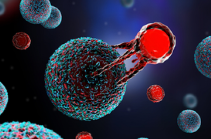 Immuneel launches cost-effective CAR T-cell therapy for non-Hodgkins lymphoma in India.