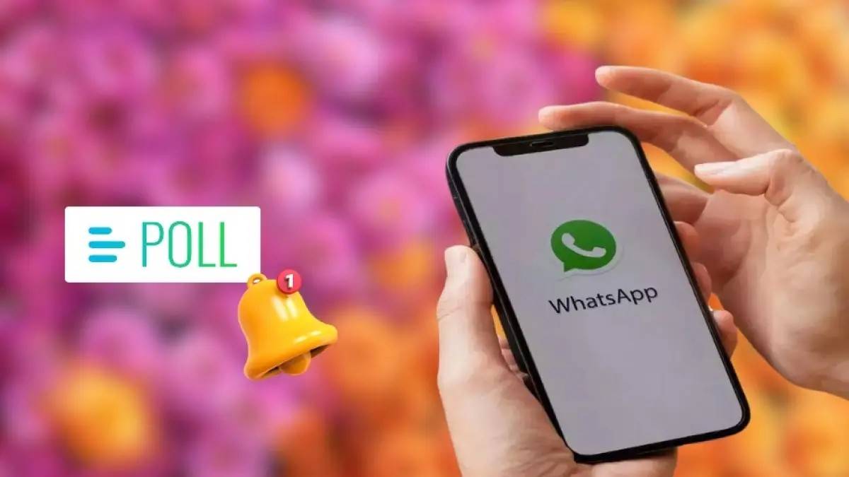 WhatsApp users can soon manage notification badges and add interactive polls to status