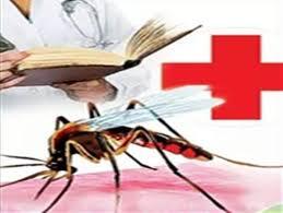 According to a study, 19% of the increase in dengue cases is due to climate change.