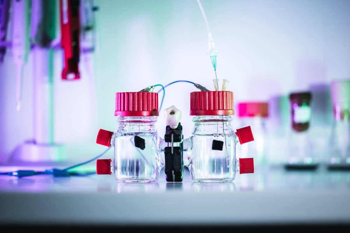 Scientist engineered bacteria to generate electricity from wastewater