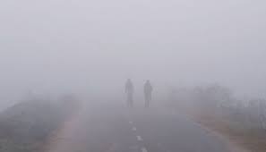 Yellow alert: Over the next three days, dense fog is likely to occur in Odisha districts.